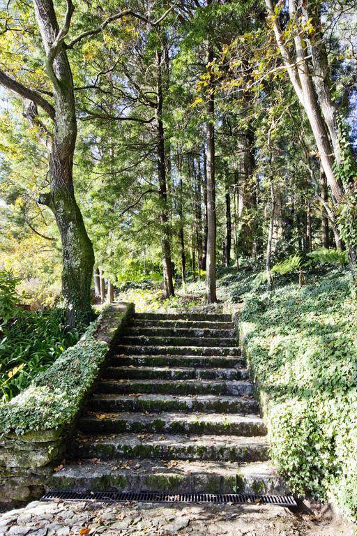Lever Quinta De Mouraes - Casa Do Xistoゲストハウス エクステリア 写真